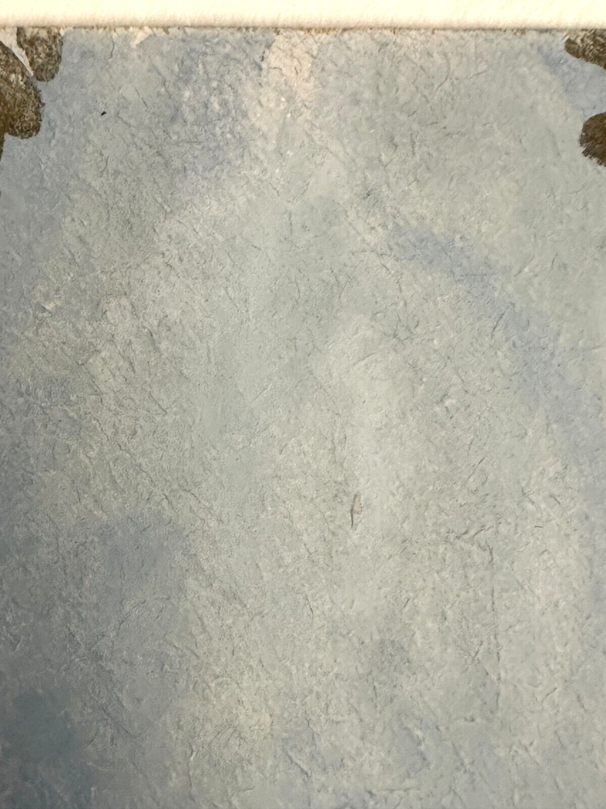 45859069