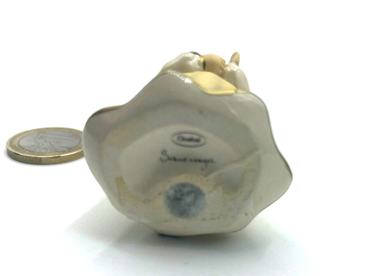 45859212