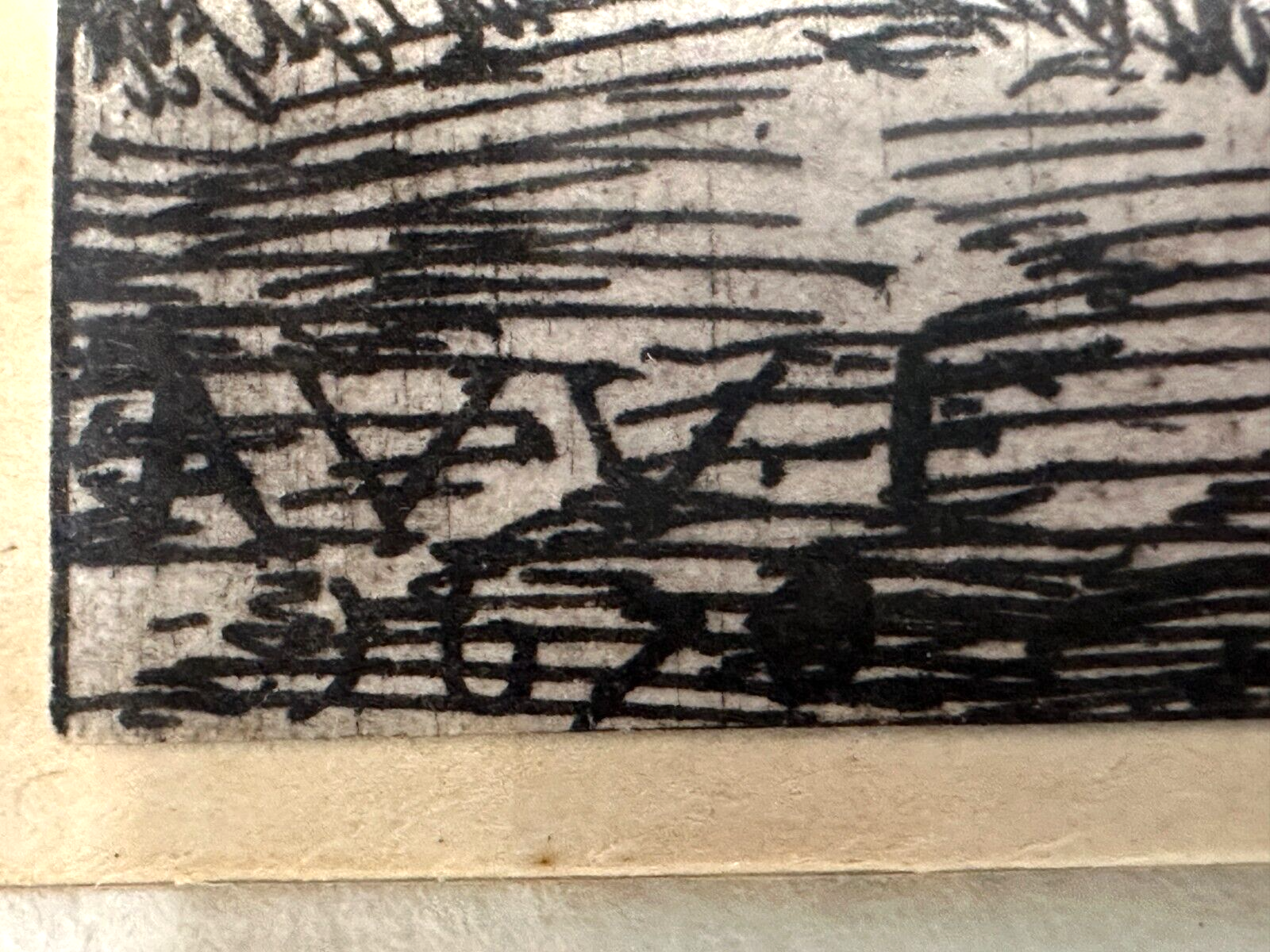45859026