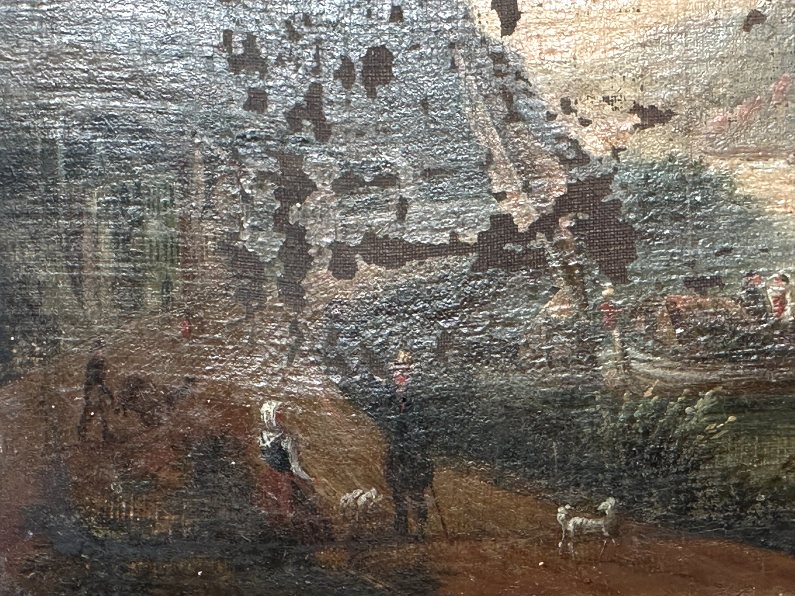 45940491