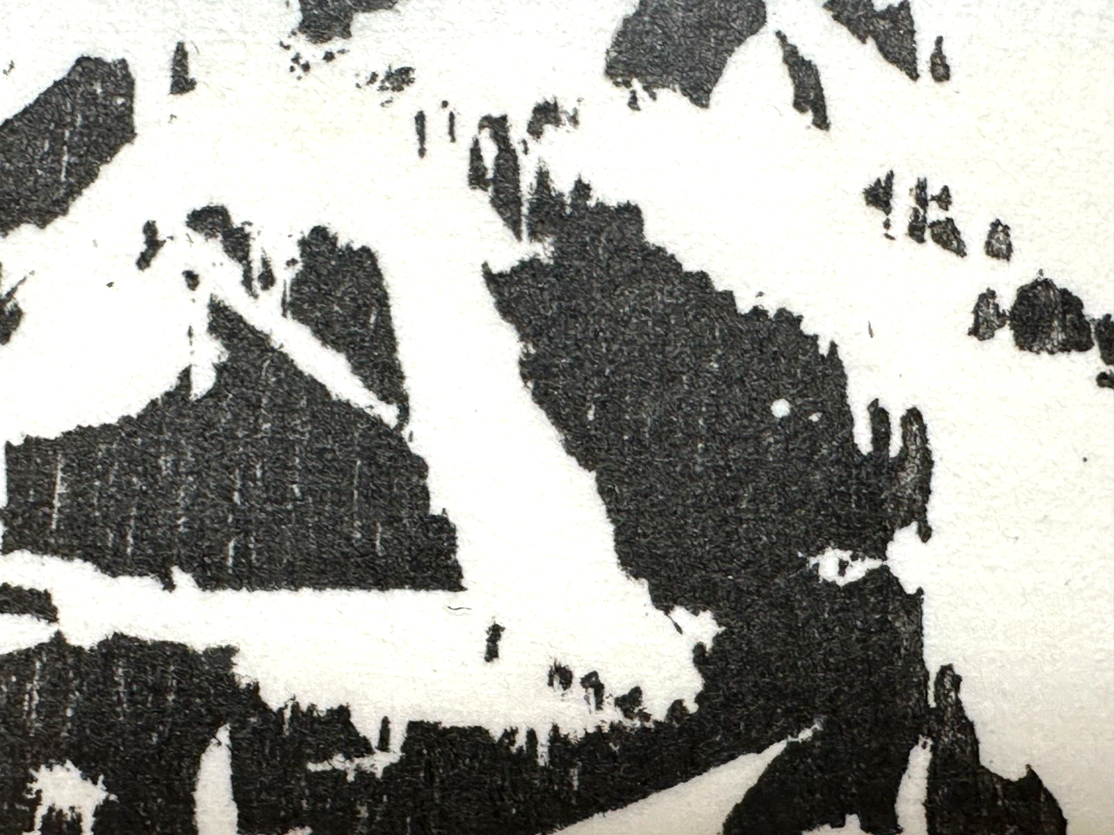 Hartwig Ebersbach - Woodcut Holzschnitt - 1997 - Signiert - Nummeriert 112/3003