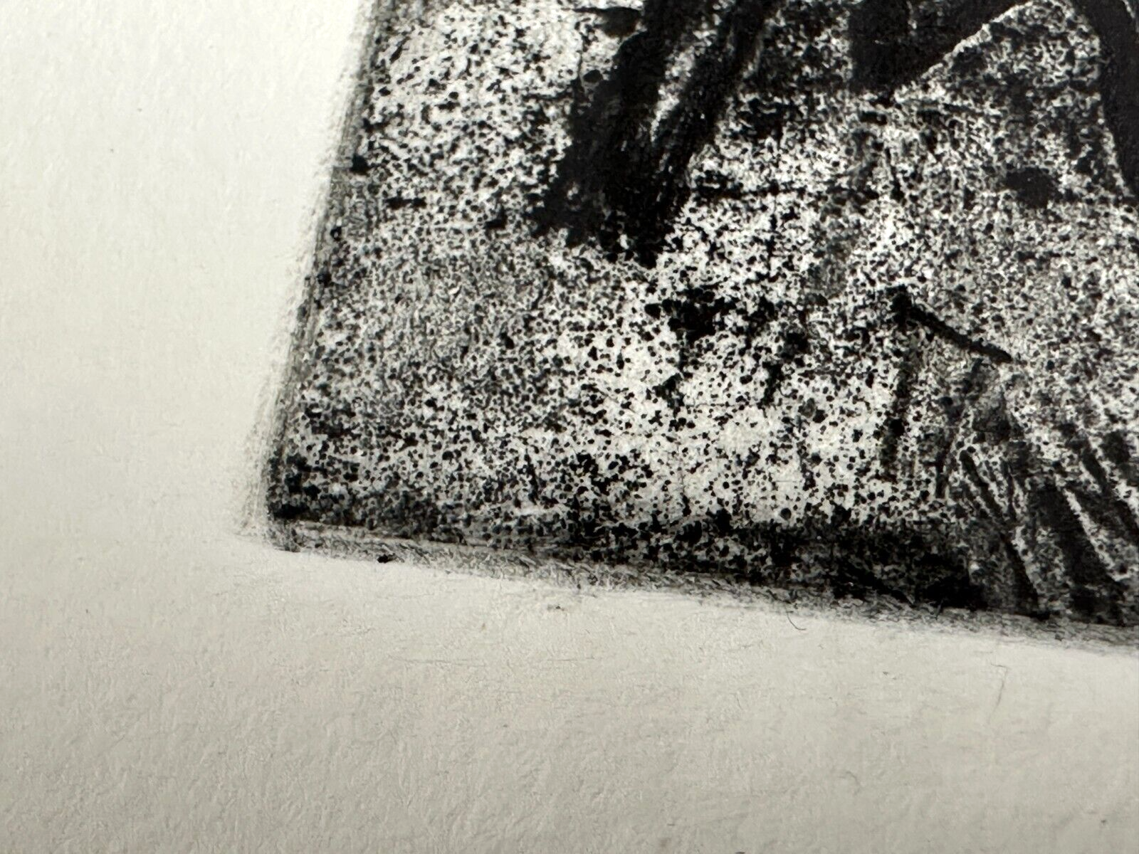 Michael Morgner - Radierung Aquatinta - 'Kleine Fichte' 1989 - Sign. -4