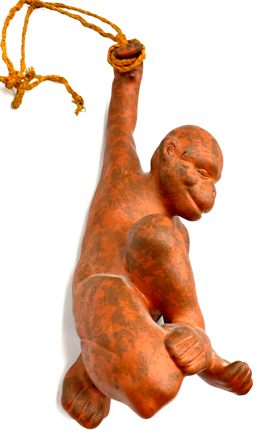 45860398