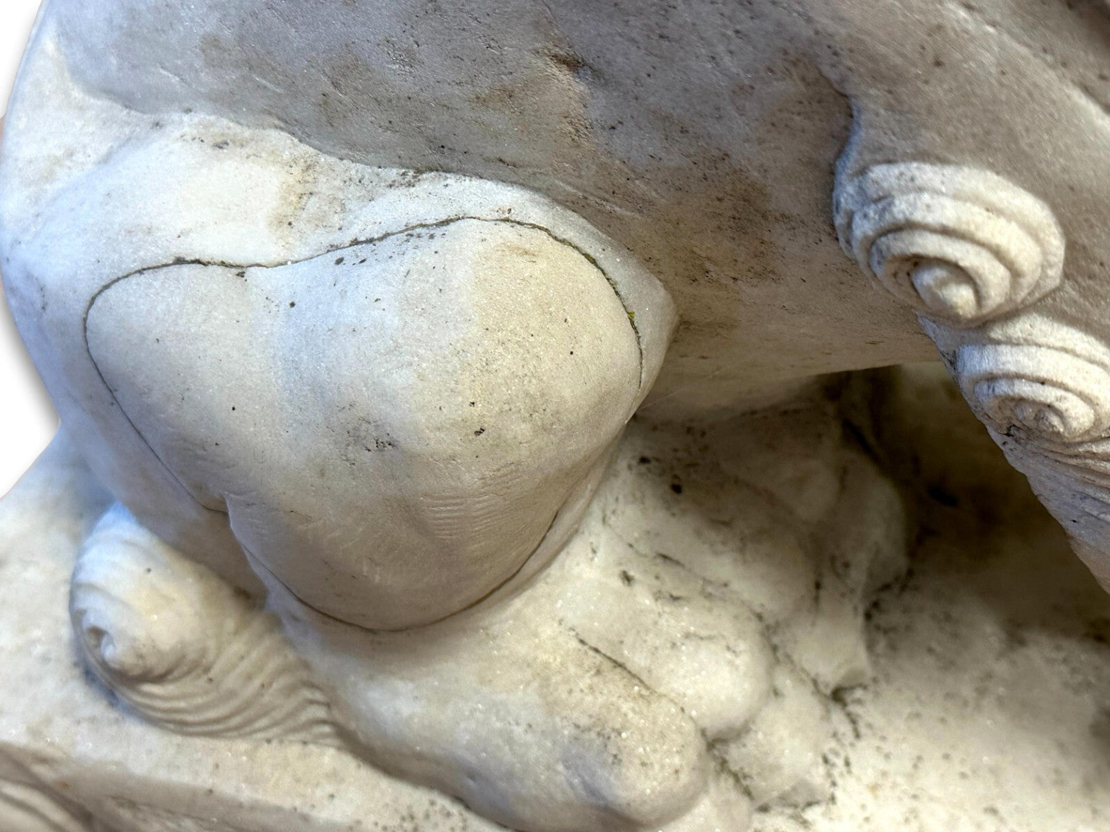 Paar Wächterlöwen - Foo-Hunde Skulptur - China 20. Jhd - weißer Marmor10