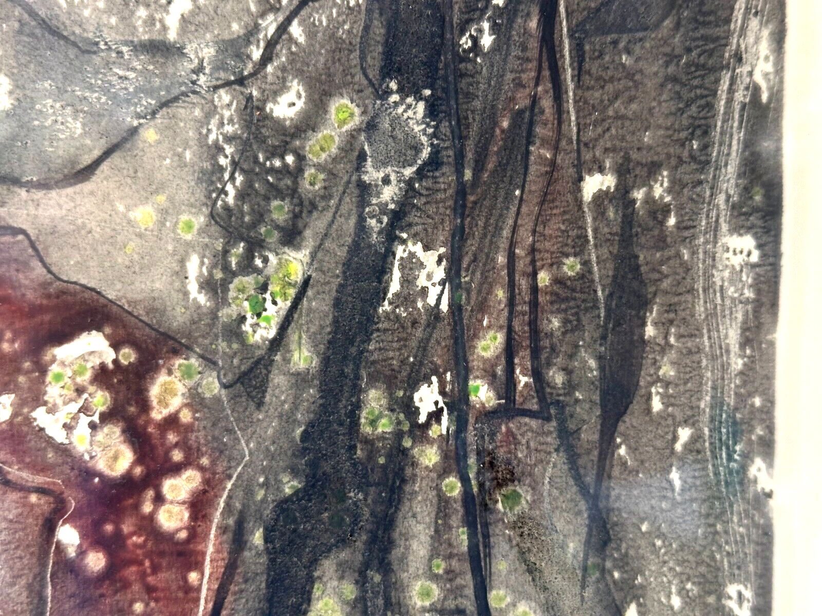 45858156