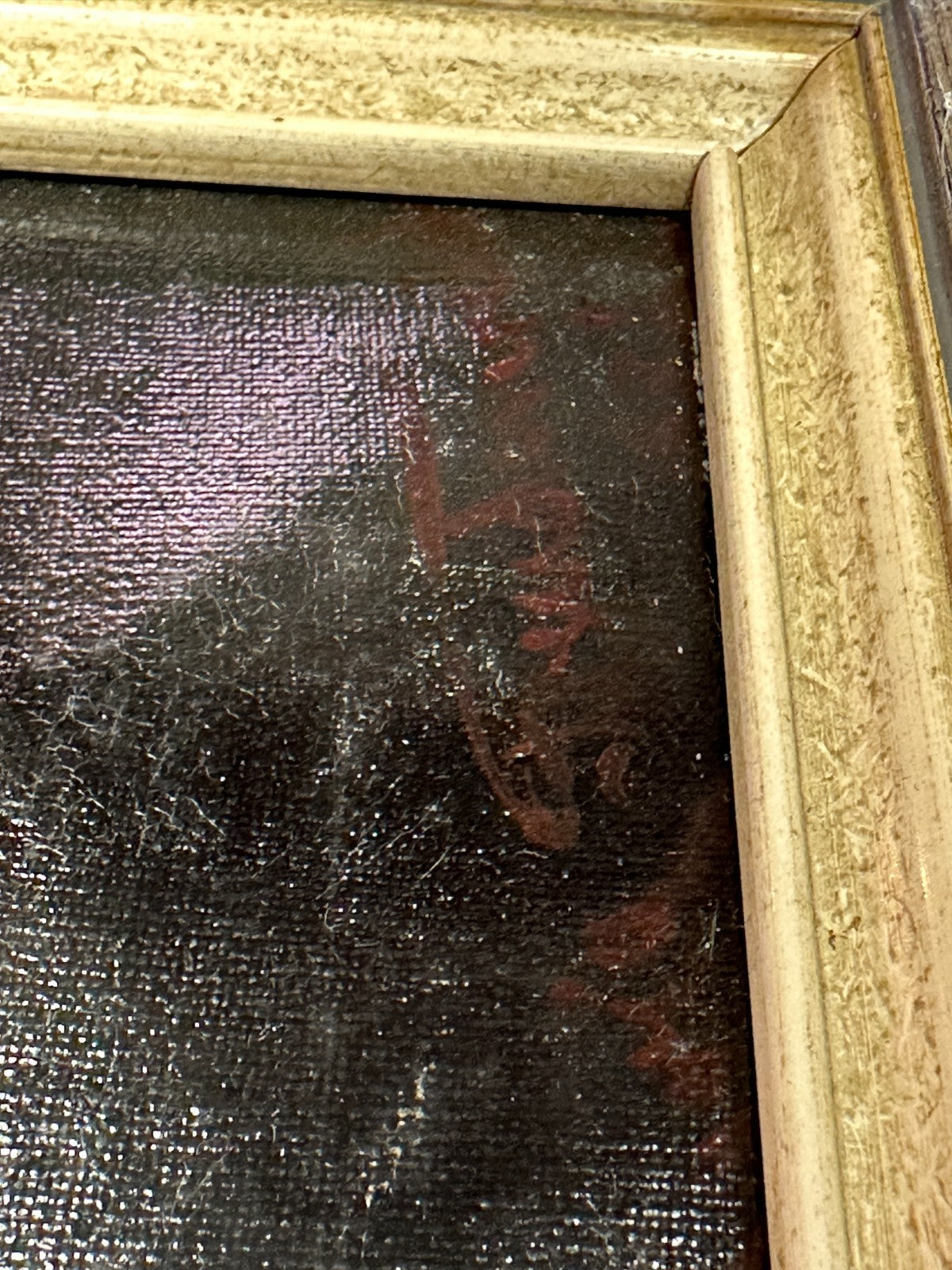 45858716