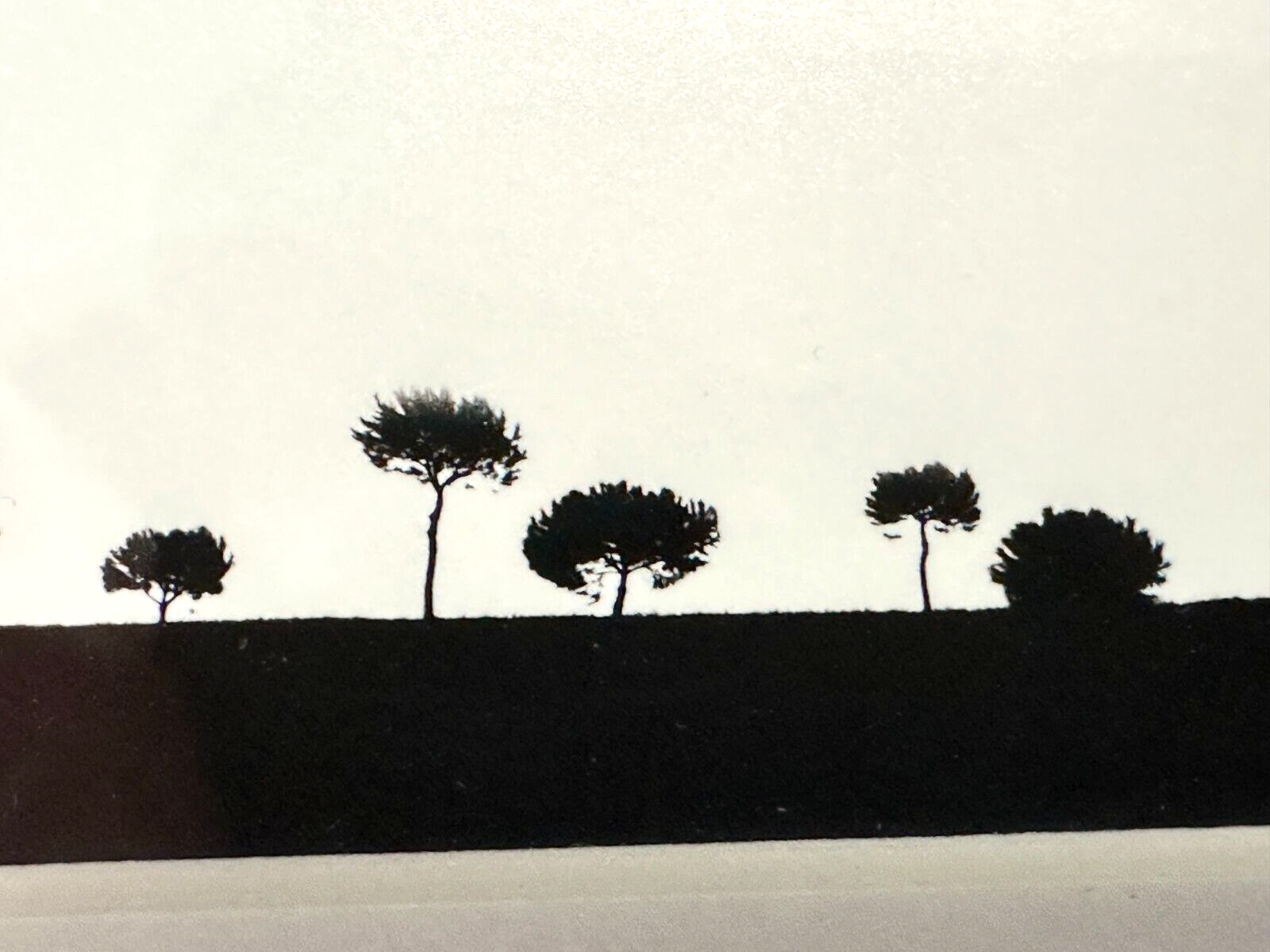 Lorenzo Cicconi Massi - Fotografie S/W Mixed Media - signiert nummeriert8