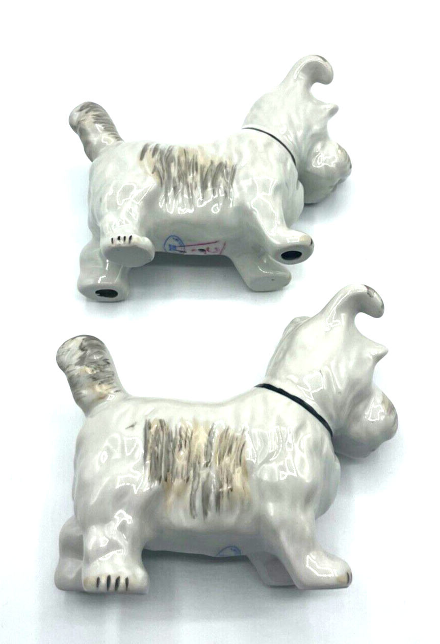45859200
