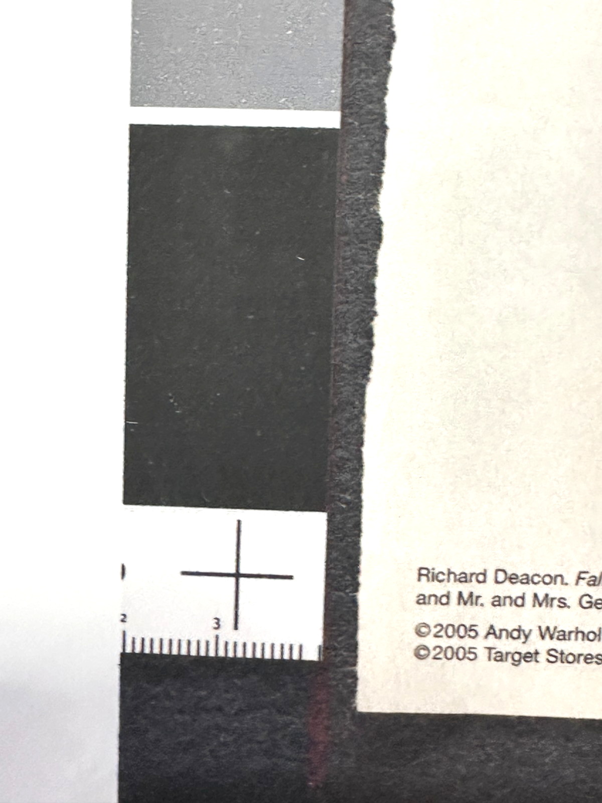 Michael Krebber „Sam“, 2008 – MoMA/Warhol – signiert & nummeriert 14/20 – selten7