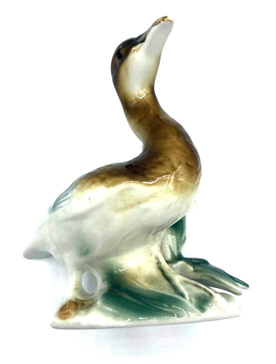 45859203