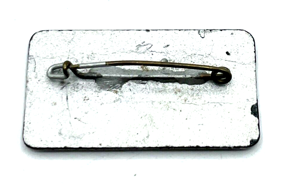 Vintage Emaille Brosche Anstecknadel Handarbeit feine Handmalerei sehr gepflegt4