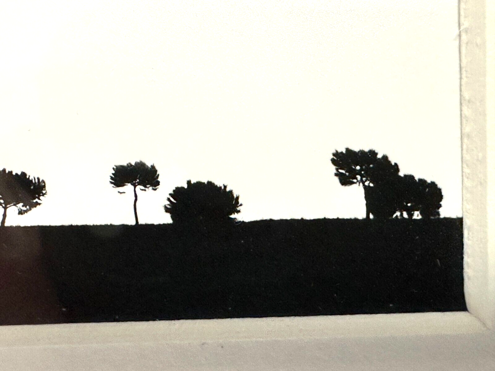 Lorenzo Cicconi Massi - Fotografie S/W Mixed Media - signiert nummeriert9