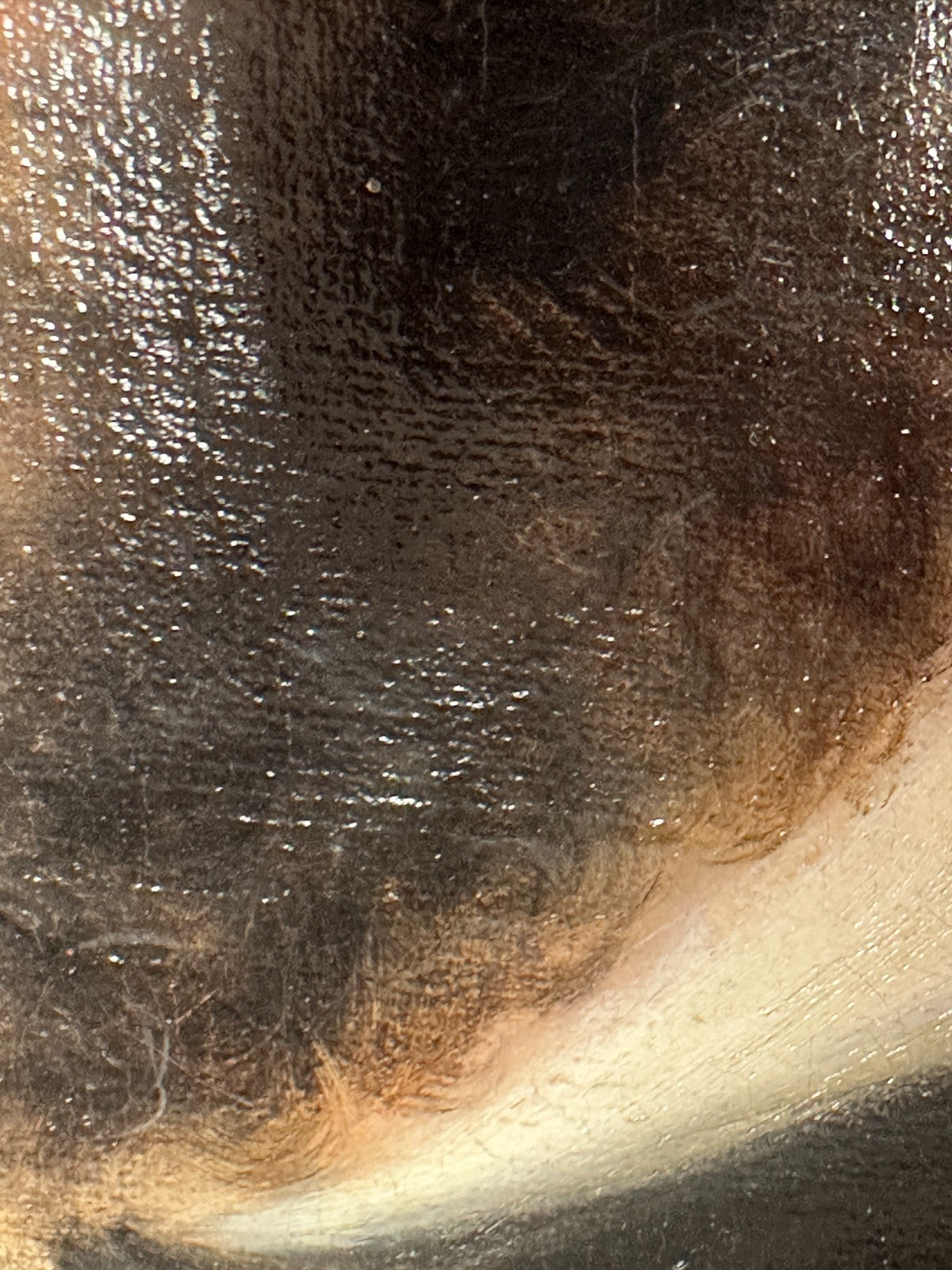 45858716
