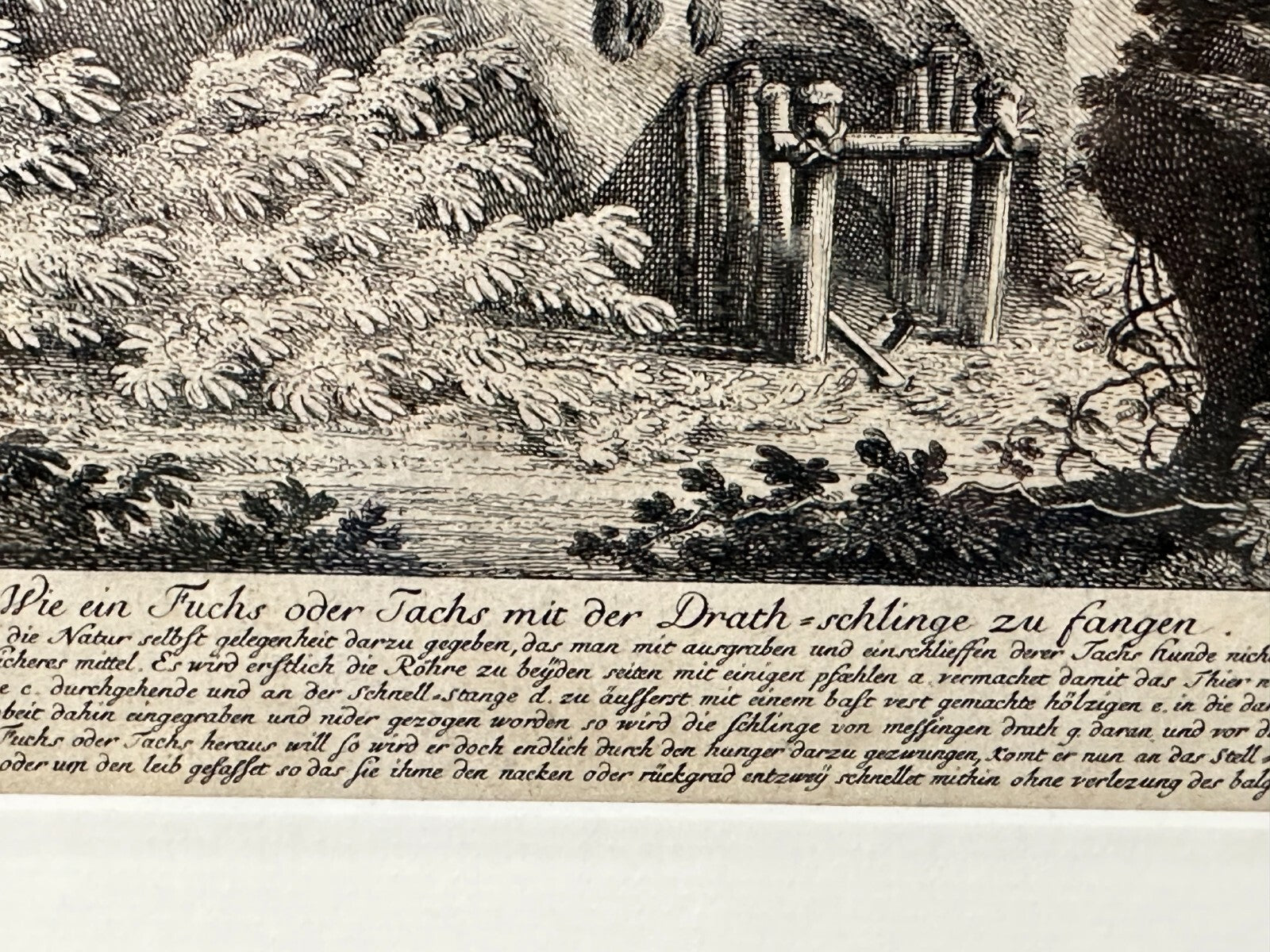Johann Elias Ridinger 1698-1767 - Kupferstich Augsburg um 1750 - Schlingenfalle2