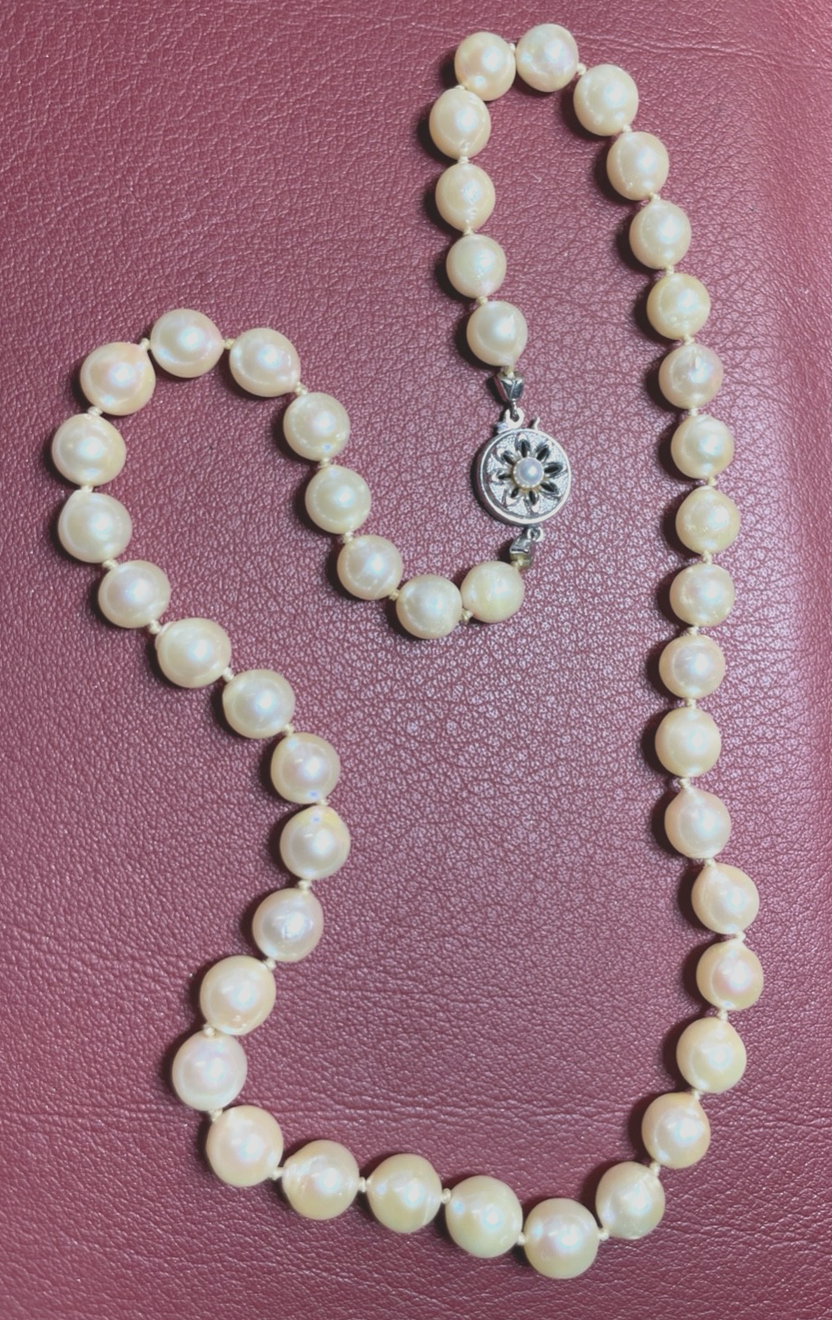 45860149
