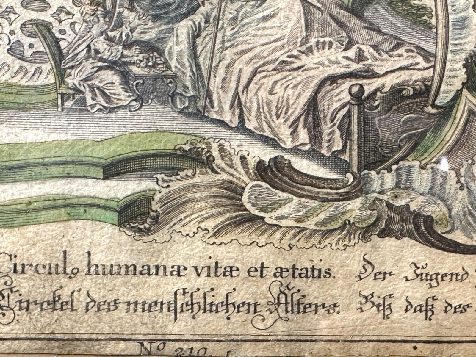 45858324