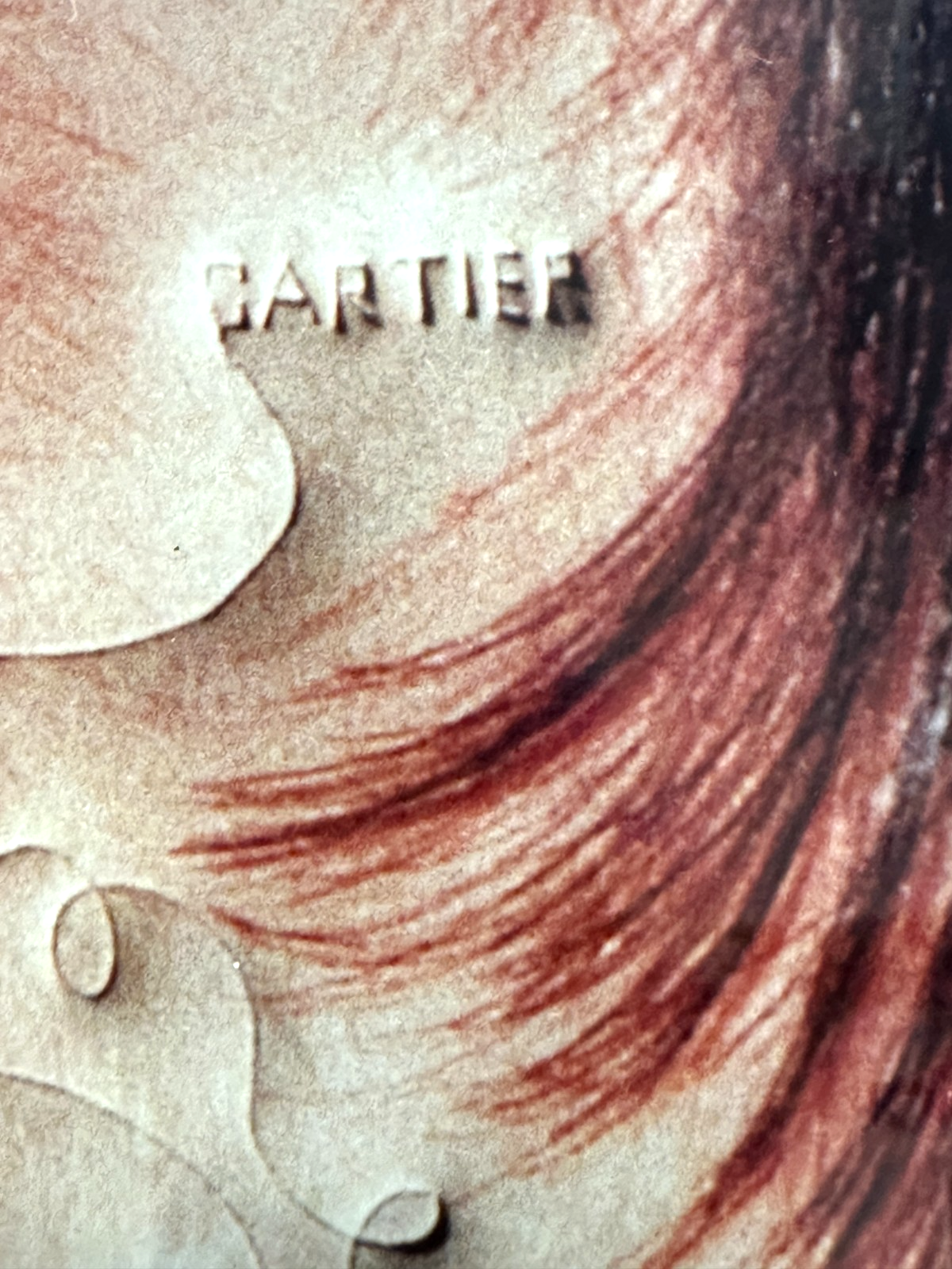 45858309