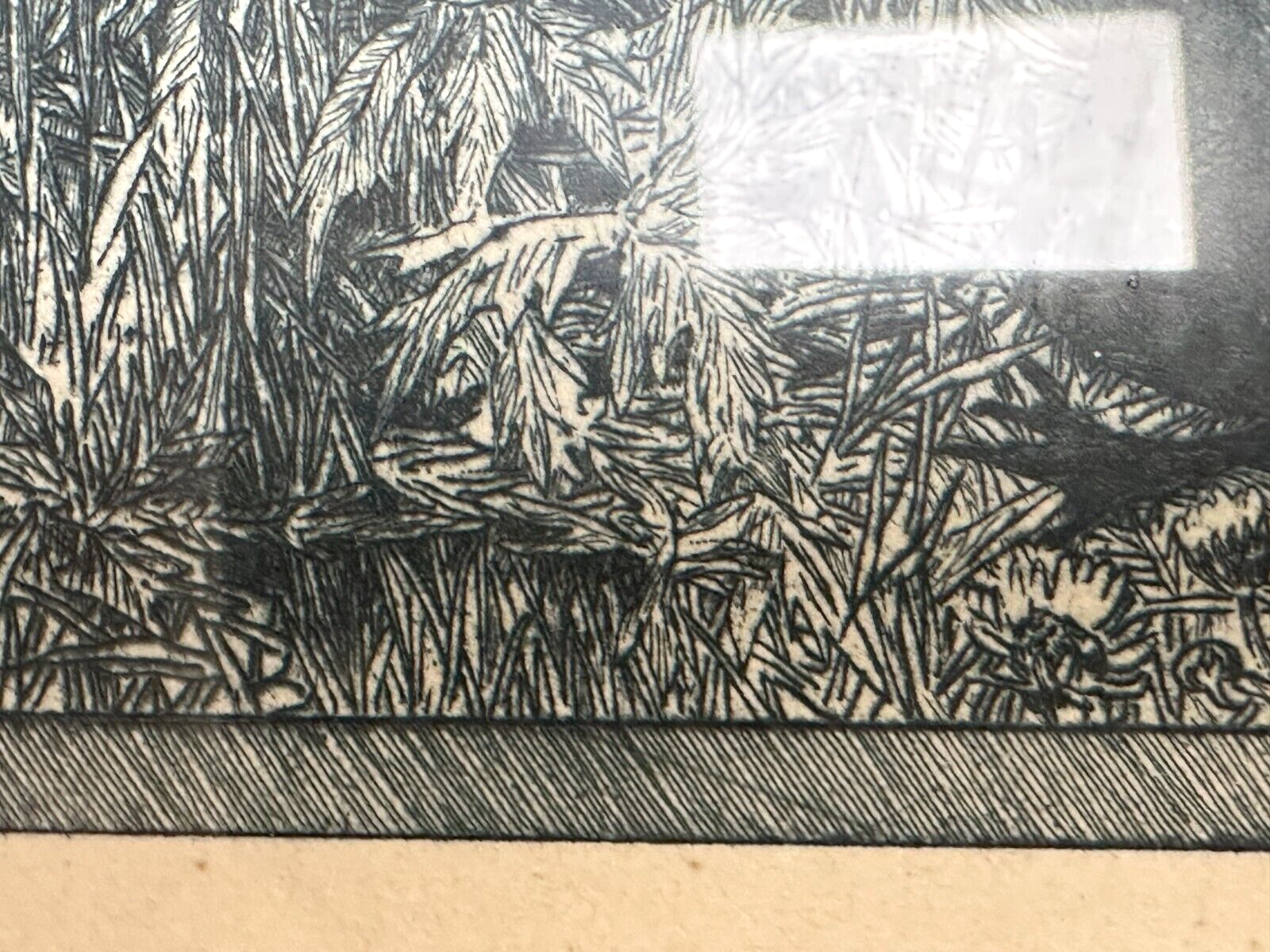 Heinrich Vogeler 1872-1942 - Radierung - Froschbraut - 1899 Jugendstil - gerahmt7