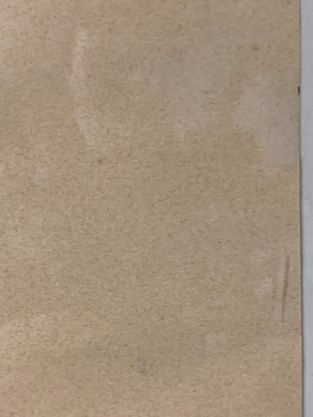 Weiblicher Akt - Kohle Zeichnung Skizze Studie - gerahmt hinter Glas - signiert6