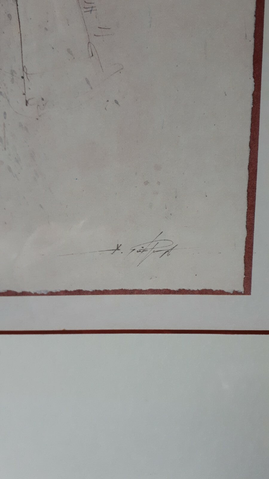 45858773