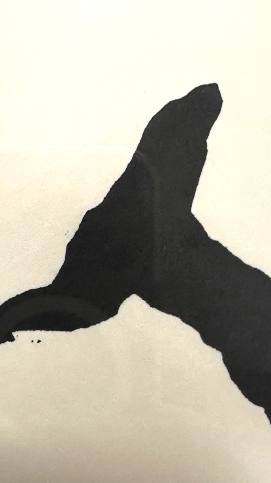 Abi Shek – Linolschnitt - „Delfine/Wale“  - signiert & nummeriert 49/55, gerahmt5