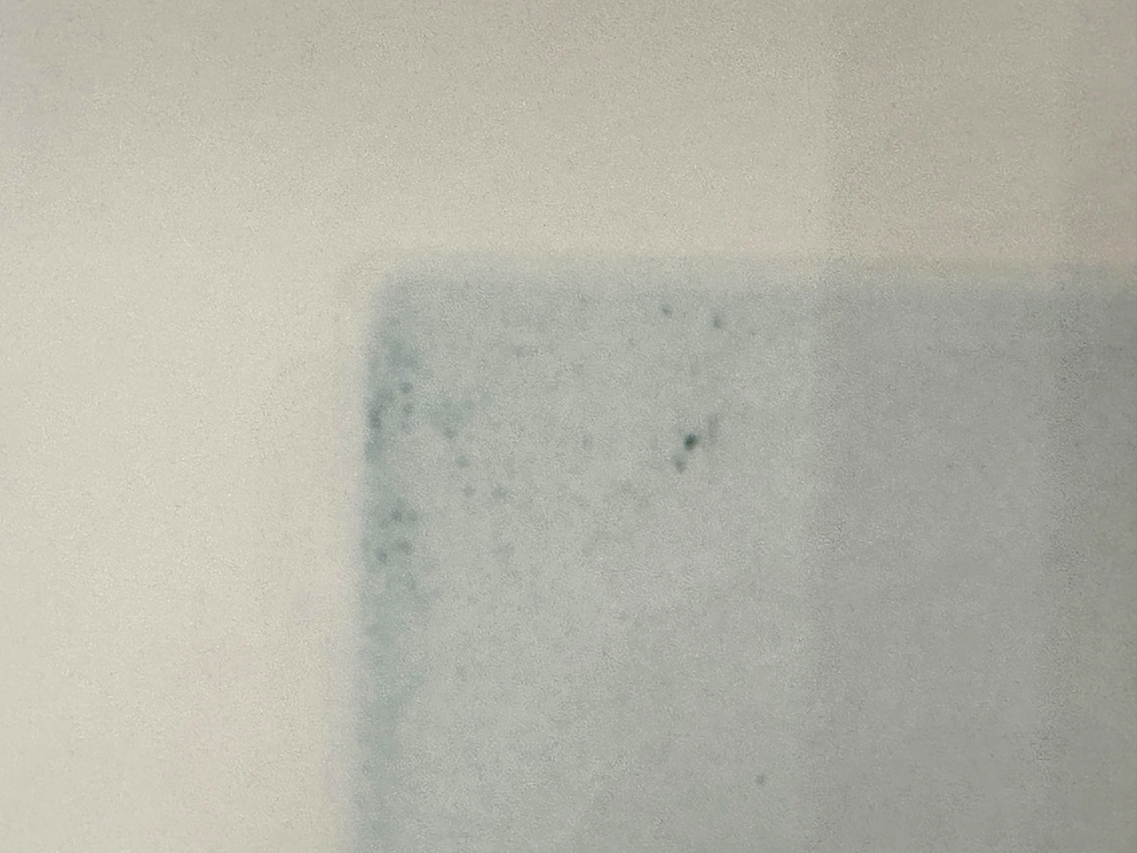45859025