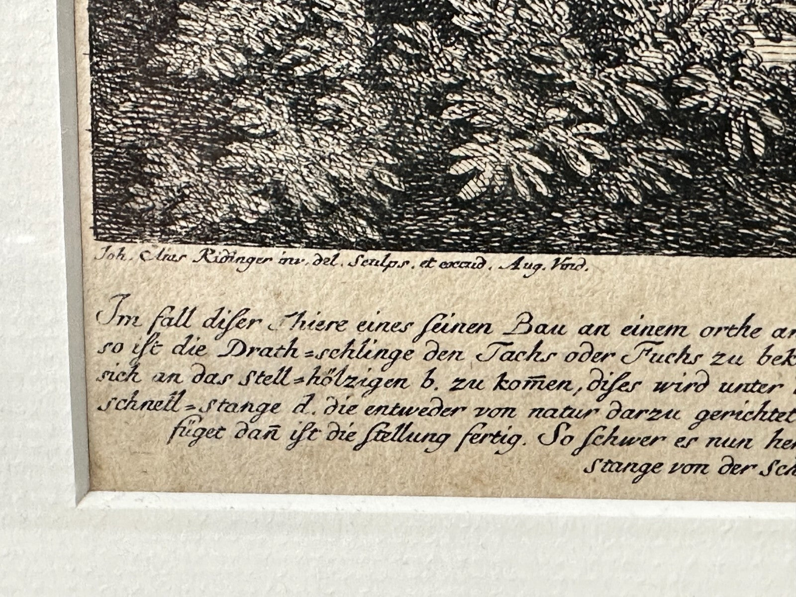 Johann Elias Ridinger 1698-1767 - Kupferstich Augsburg um 1750 - Schlingenfalle3