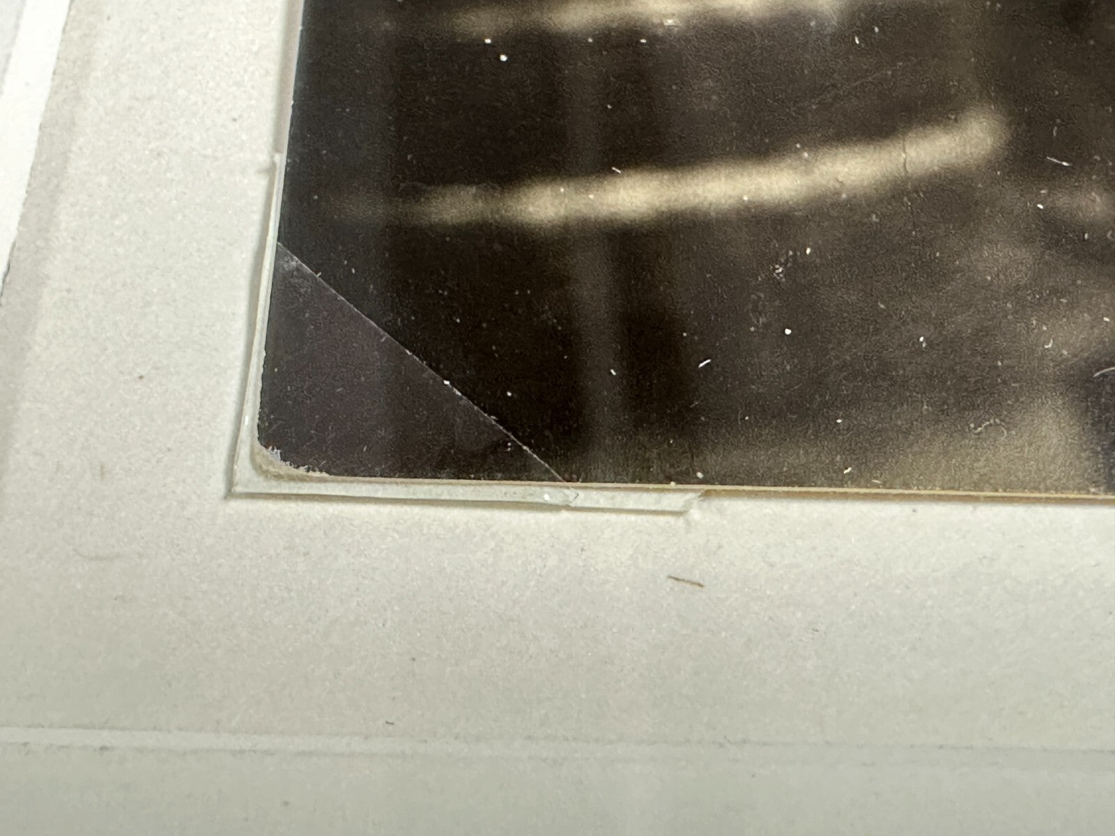 45858823