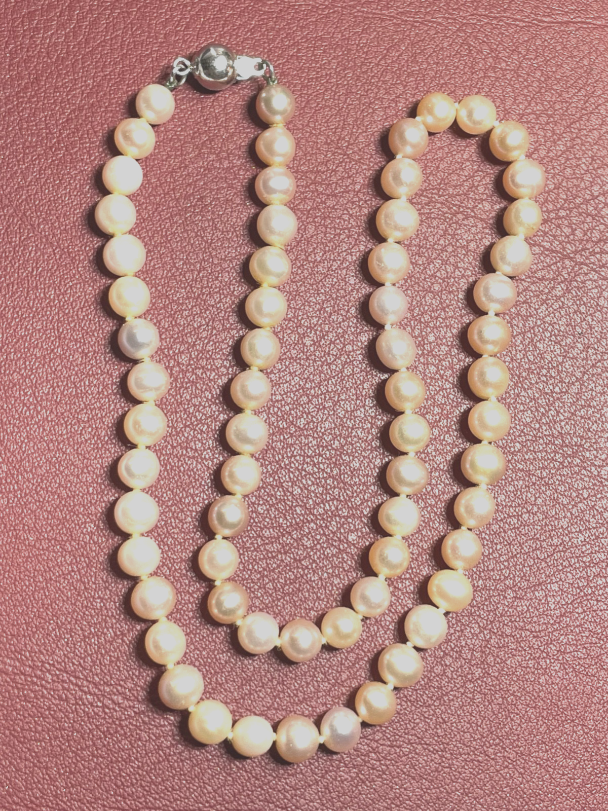 45860155