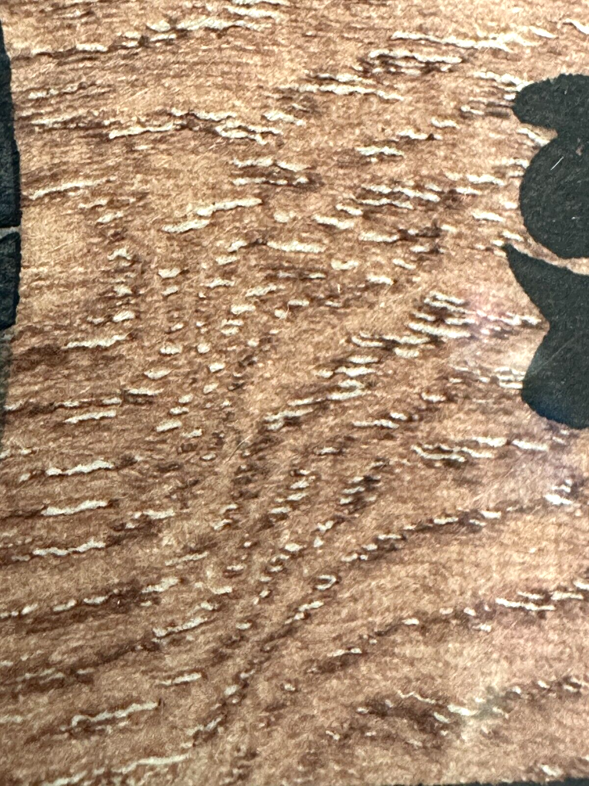 45858866