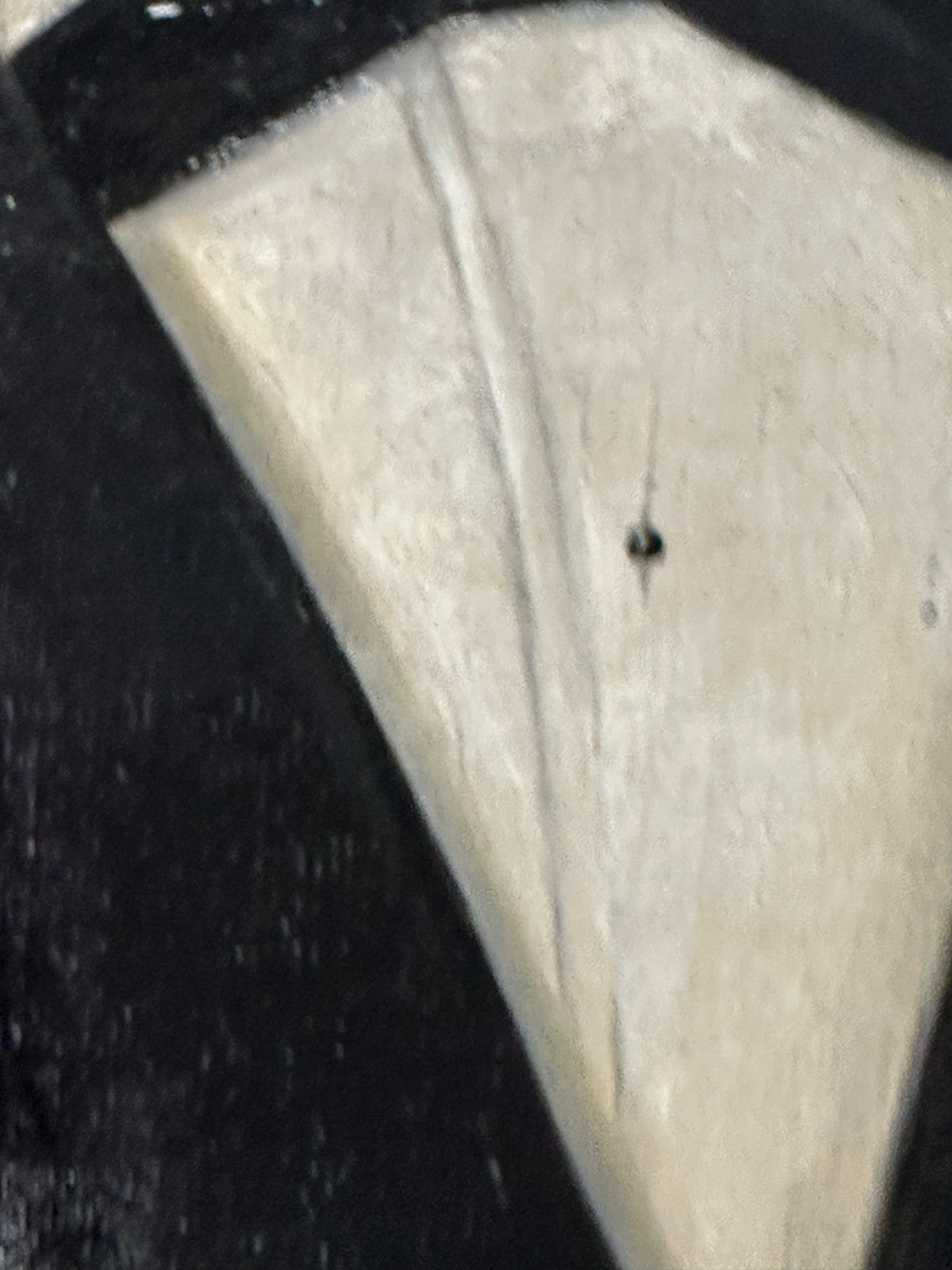 Herrenporträt um 1860–1870 – Öl auf Leinwand – gerahmt - Süddeutschland - sign.6