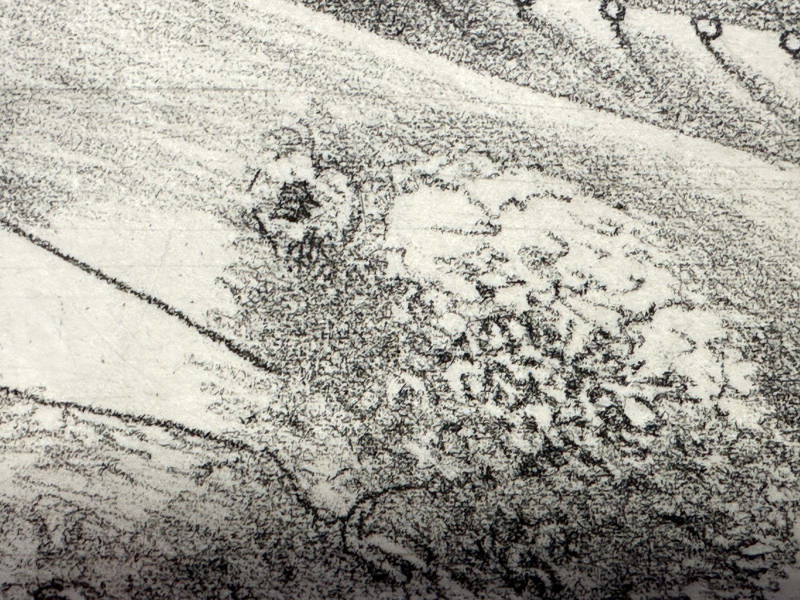 André Thomkins (1930–1985) - Radierung 1976 - signiert - nummeriert 86/1002