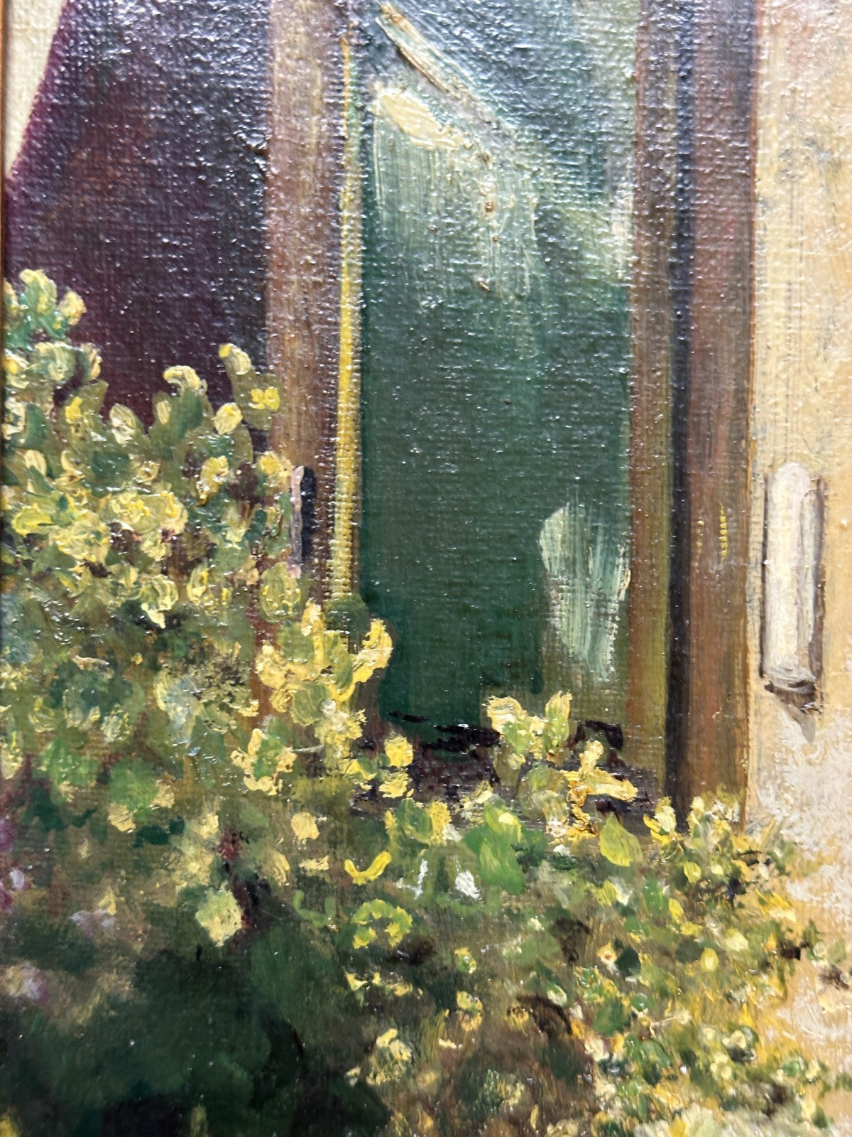 45859004