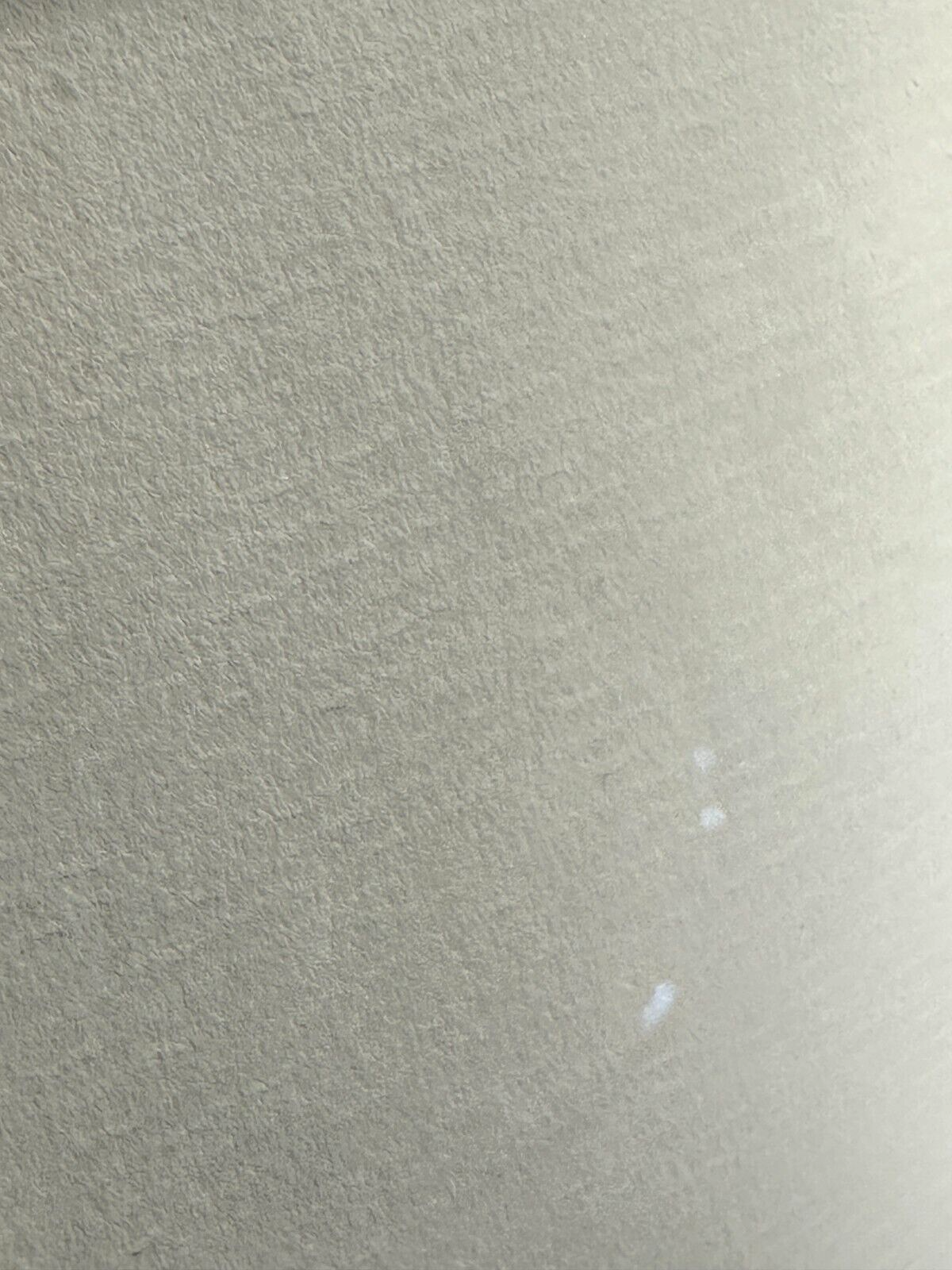 45858804