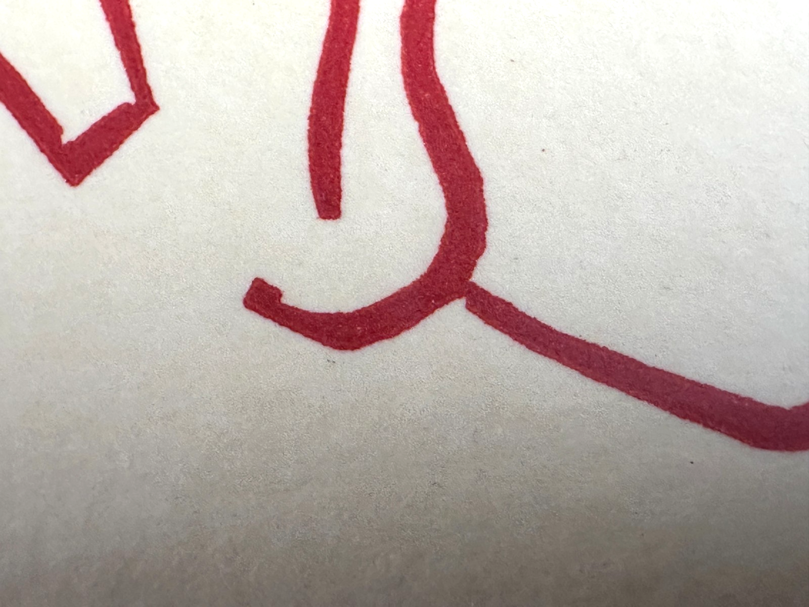 Franziska Neubert – Linolschnitt – signiert & nummeriert 70/100 – moderne Grafik5