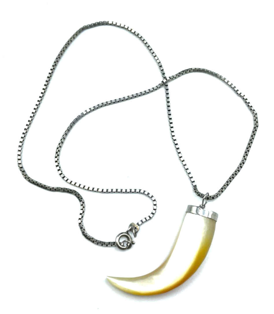 Unisex vintage gr. mega schöner Perlmutt Zahn an Silber 46,5 cm Venezianerkette1