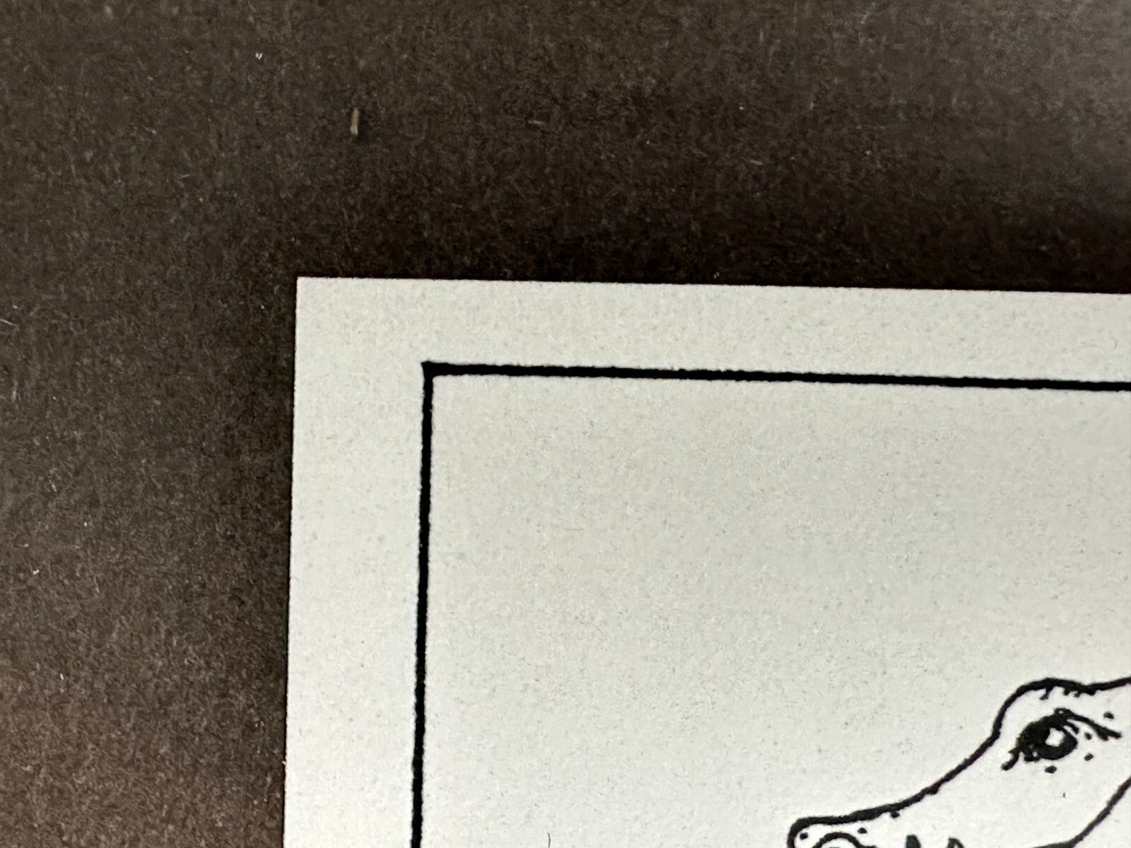 Mark Dion - Serigrafie - 'Exlibris' 2002 - nummeriert 141/200 - signiert5