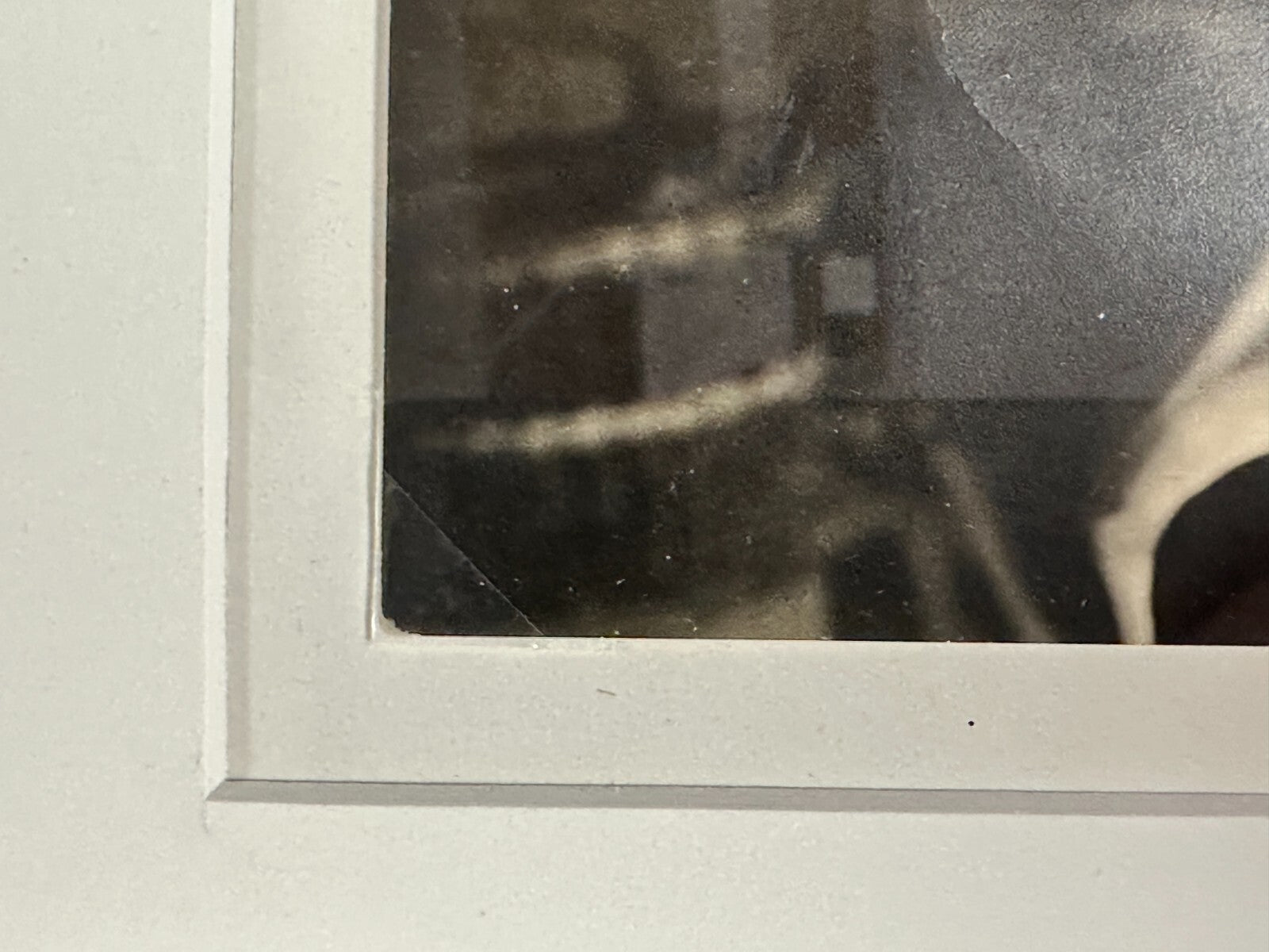 45858823