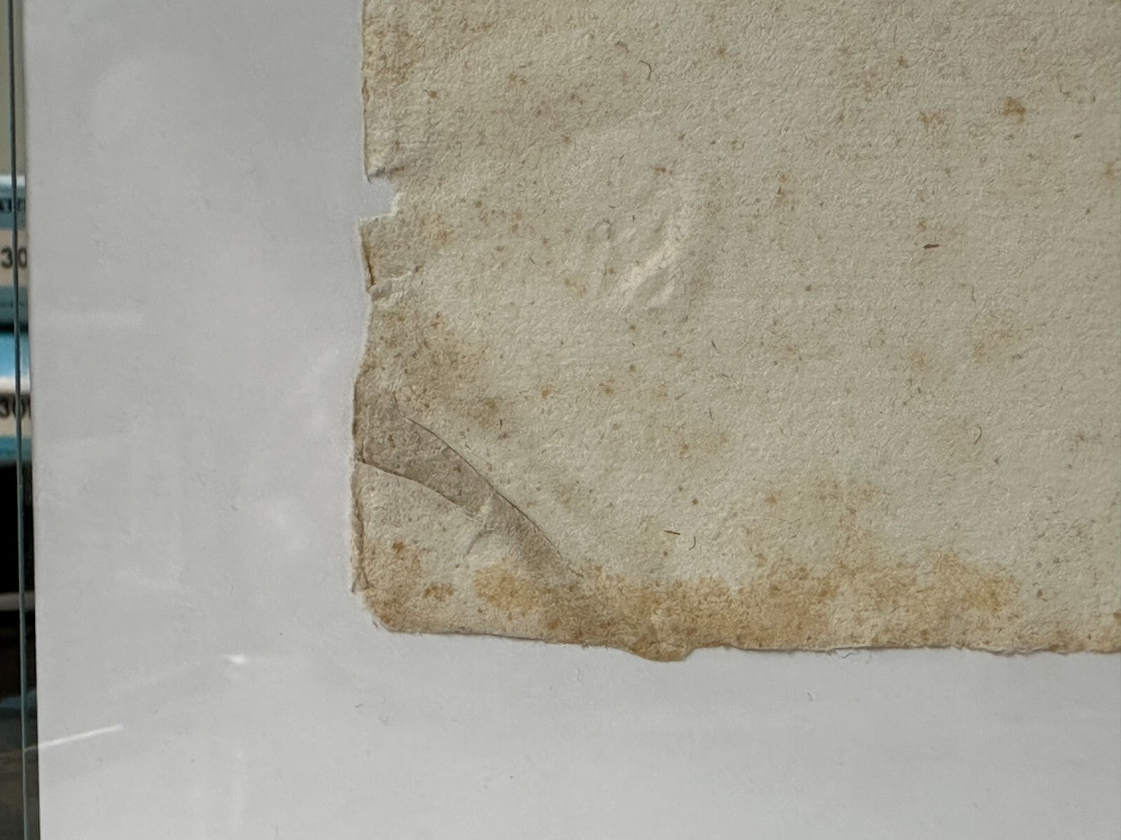 Einblattdruck - Friedrich Karl von Württemberg - 1688 - Warnung vor Falschgeld11