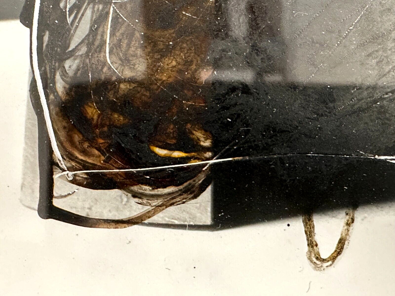 Wolfgang Bier 1943-1998 - Mixed Media 1995 - signiert - gerahmt hinter Glas13
