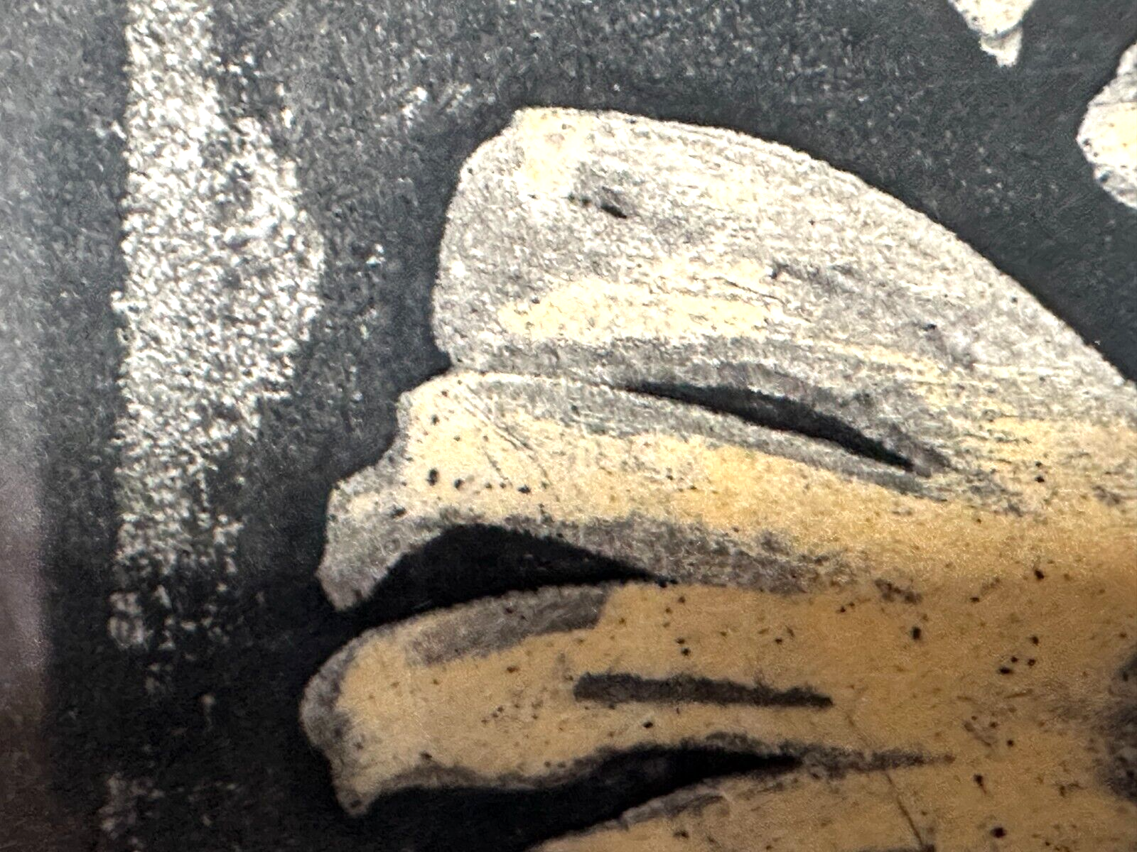 45858086