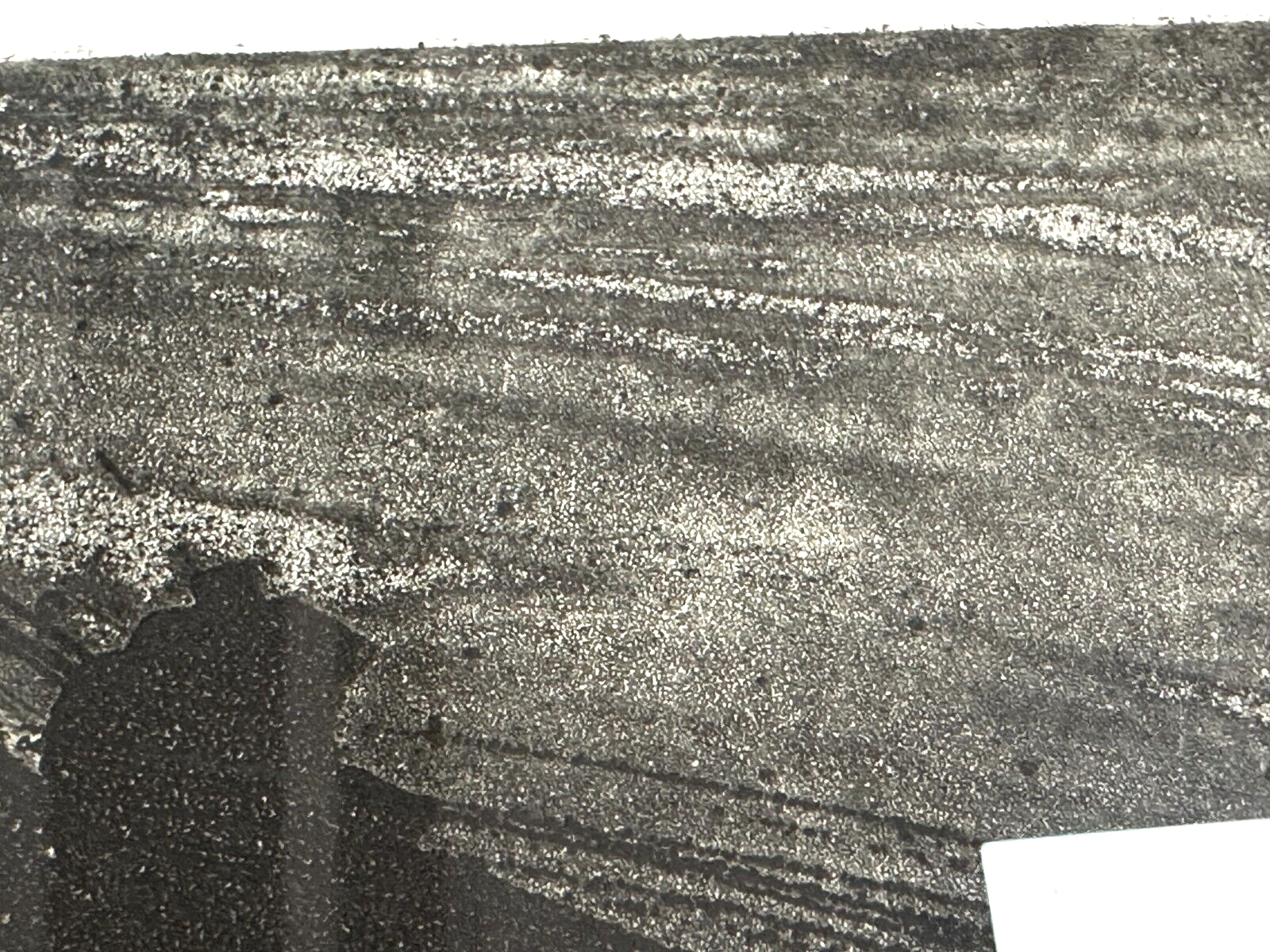 Michael Morgner - Radierung Aquatinta - 'Kleine Fichte' 1989 - Sign. -7