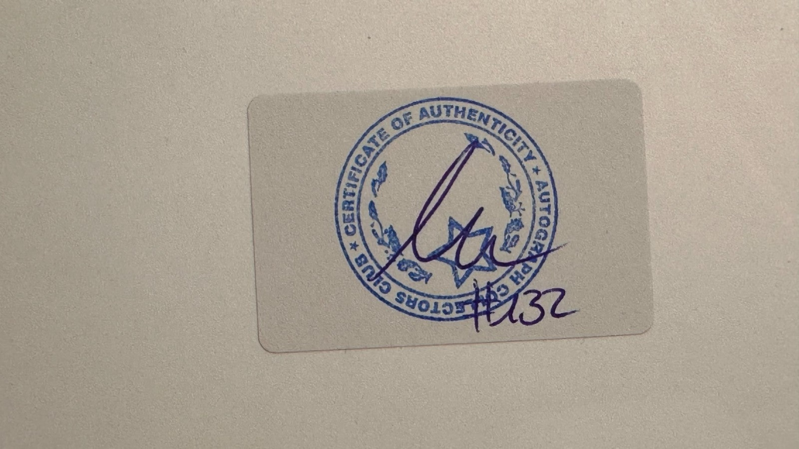 Arnold Schwarzenegger Terminator Autogramm Foto signiert blau Marker COA Aufkleb3