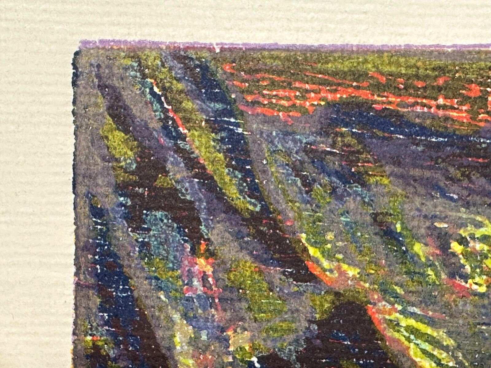 45858231