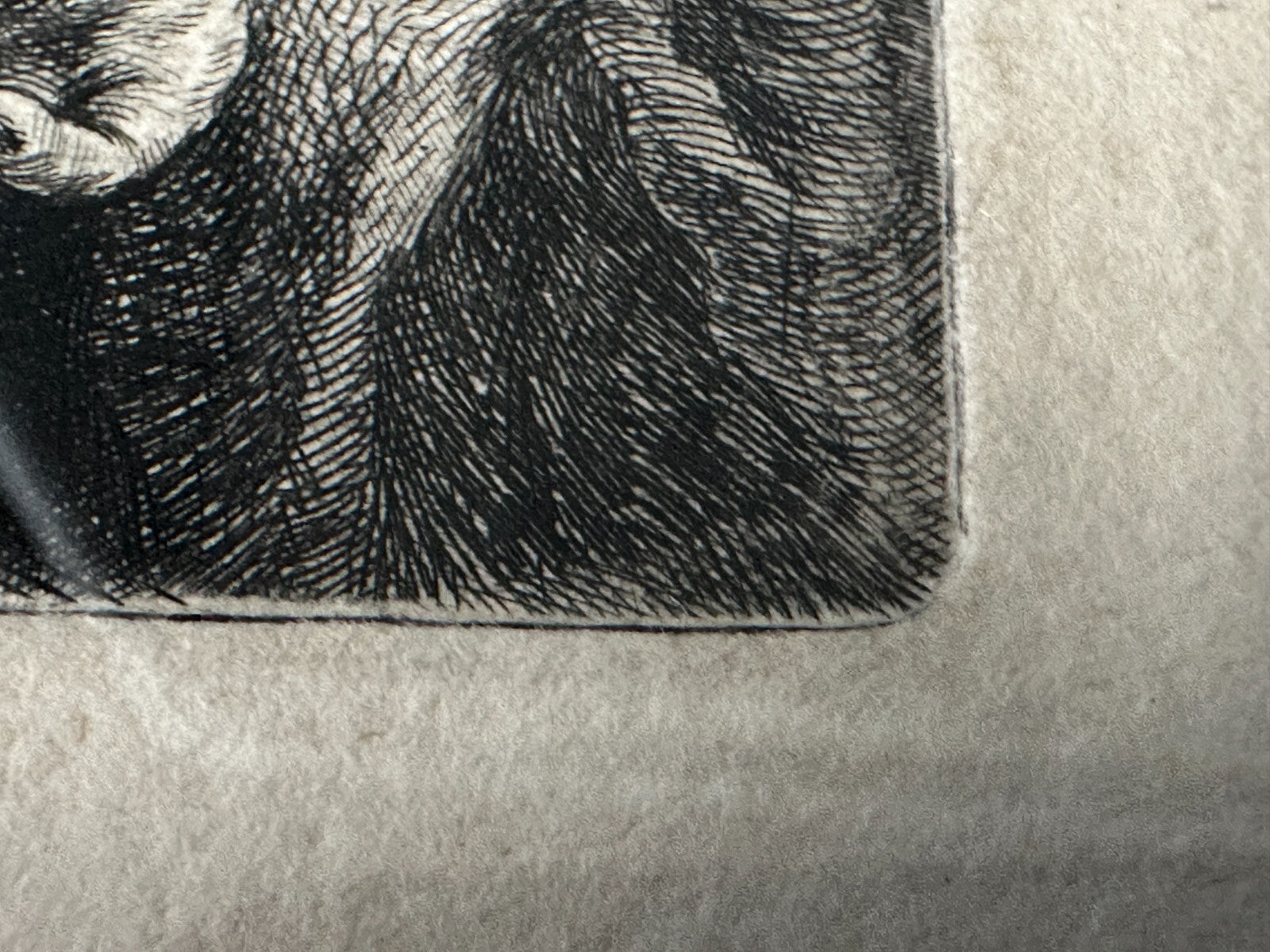 45858114