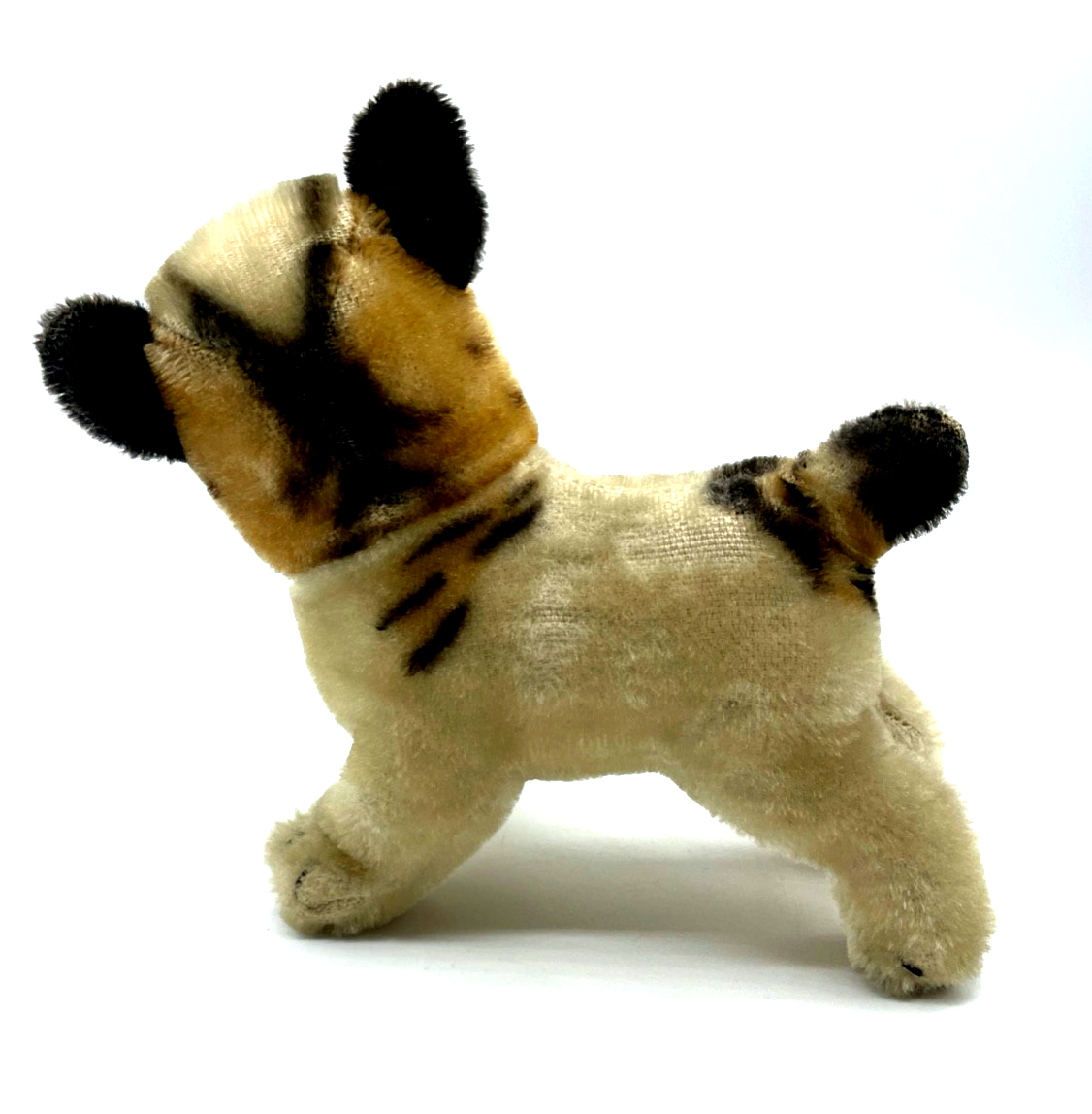Antik Steifftier Steiff Hund Bully Bulldogge gepflegt H ca. 17 L ca. 15 cm3
