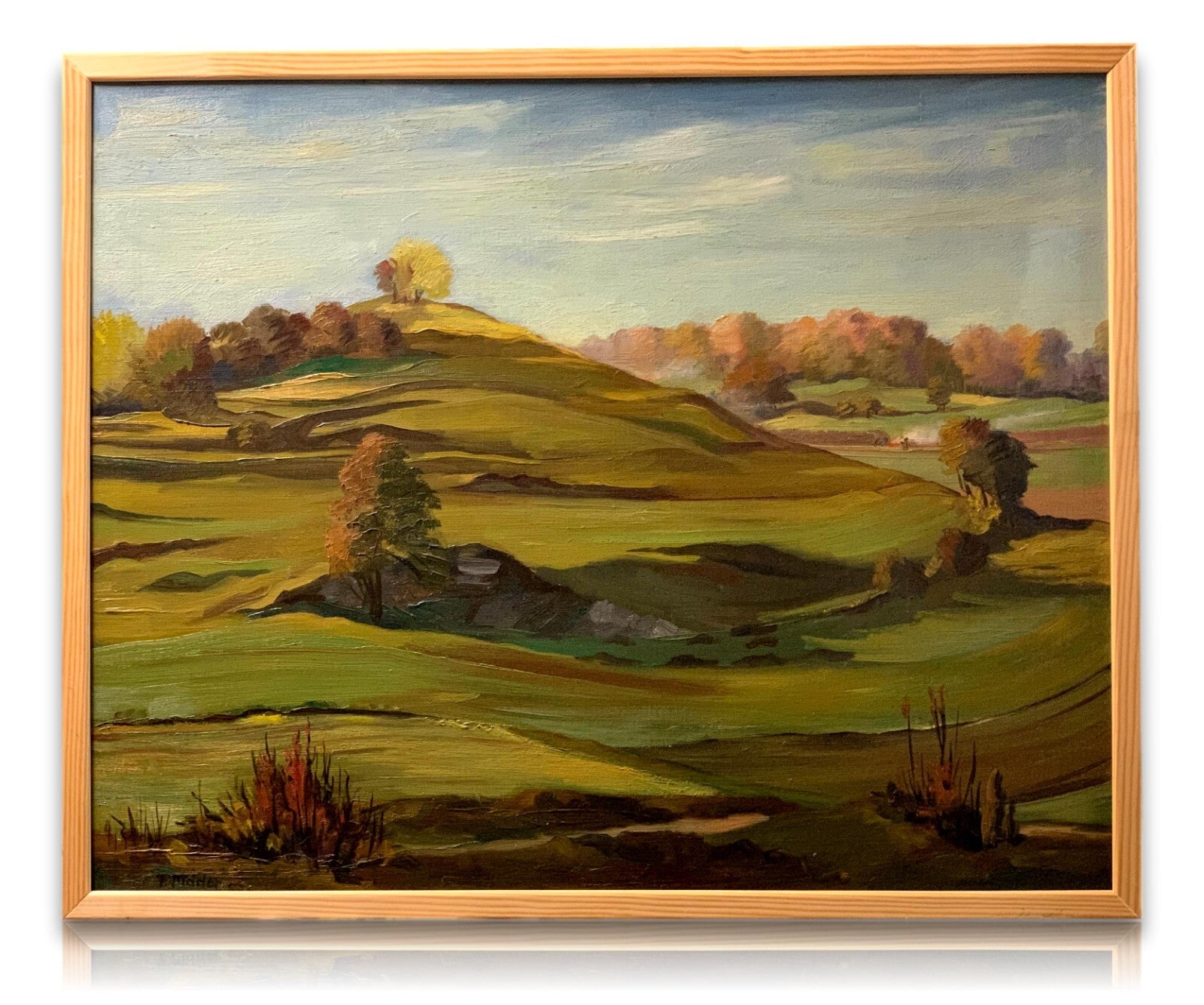 Fritz Mader 1900-1998 - Herbstlicher Hang 1955 - Öl auf LWD - gerahmt - signiert0
