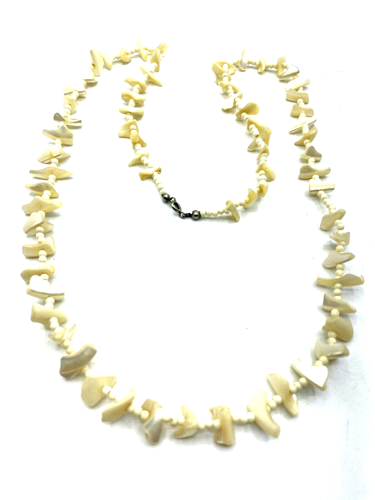 45860431